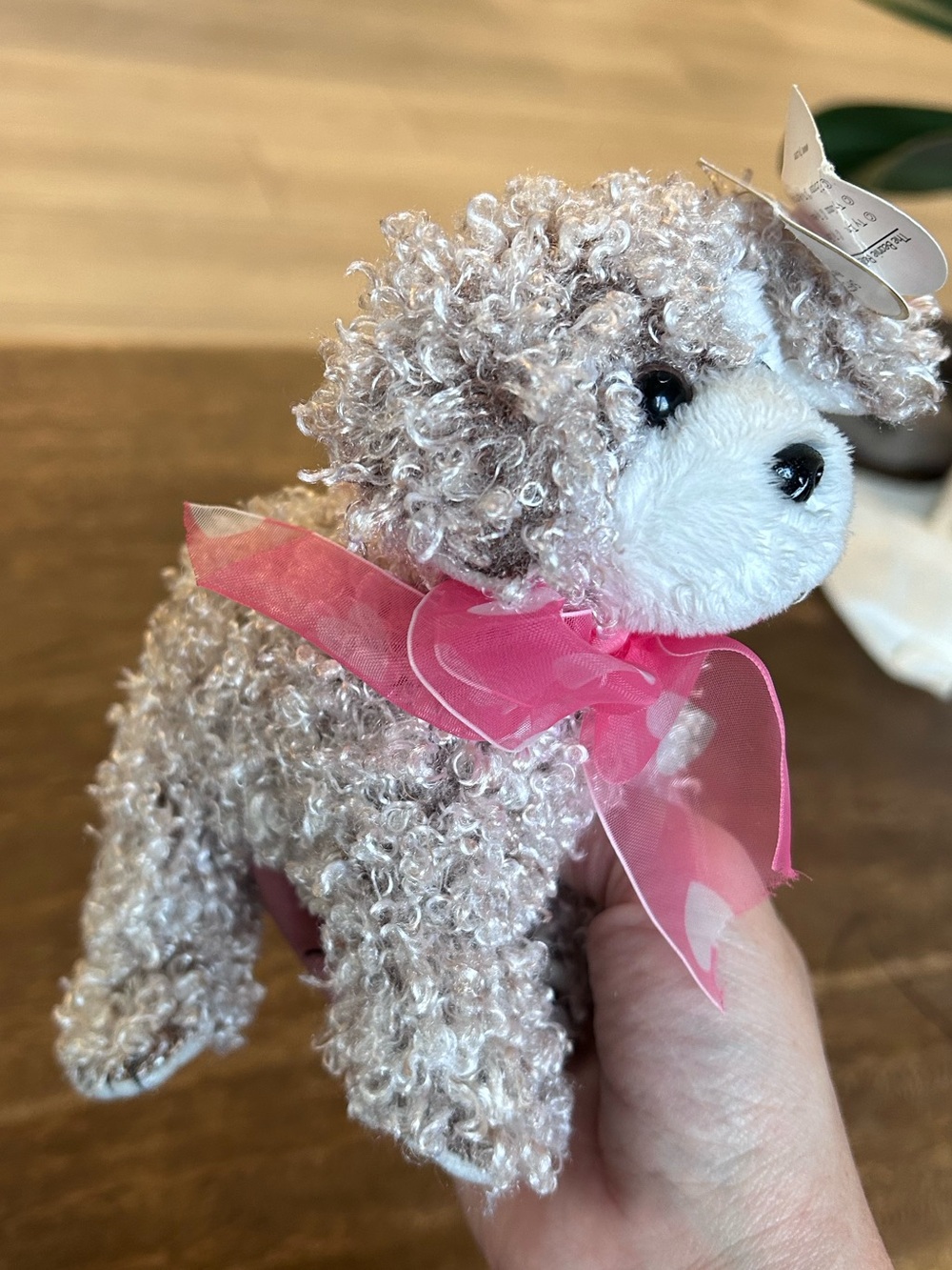 NWT Ty Original Beanie Baby Snookums Dog Curly Hair 2004 Release Plush Collect - Picture 2 of 8